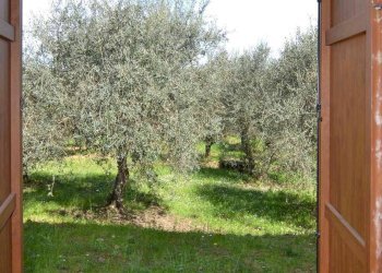 Foto 30 - Casa indipendente VIa Selvole
 
36, Castelnuovo Berardenga - foto 30