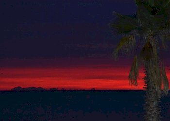 Foto 13 - Attività Commerciale Loano - foto 13