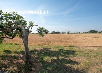 Foto 12 - Casa indipendente via Zappaterra
 
10/g, Copparo - foto 12