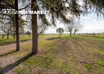 Foto 6 - Rustico via IV novembre
 
56, Codigoro - foto 6