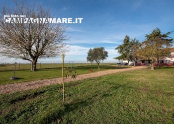 Foto 8 - Rustico via IV novembre
 
56, Codigoro - foto 8