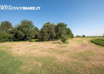 Foto 15 - Rustico piazza unità
 
10/h, Jolanda di Savoia - foto 15