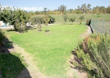 Foto 6 - Independent house via vicolo Po
 
10/h, Riva del Po - photo 6