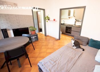 Foto 21 - Independent house via Roma
 
10/h, Riva del Po - photo 21