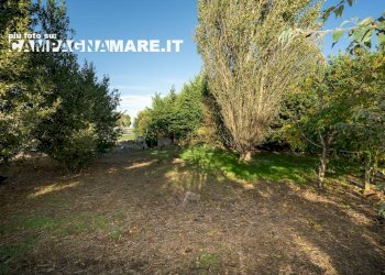 Foto 13 - Casa indipendente via piave
 
10/h, Codigoro - foto 13