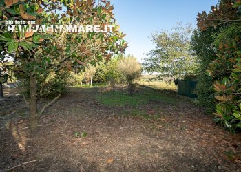 Foto 15 - Casa indipendente via piave
 
10/h, Codigoro - foto 15