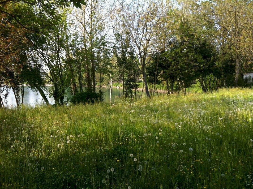 Foto 3 - Terreno edificabile Silea - foto 3