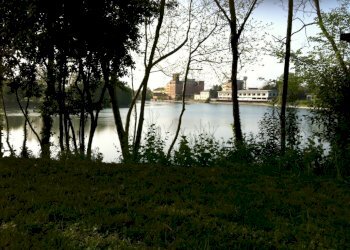 Foto 9 - Terreno edificabile Silea - foto 9