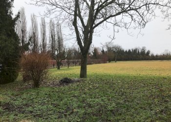 Foto 1 - Terreno agricolo Carbonera - foto 1