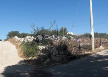 Foto 5 - Terreno agricolo TRAVERSA TESTA MOZZE, Noto - foto 5