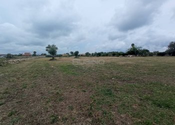 Foto 4 - Agricultural land TRAVERSA MASSERIA GARGALLO
SNC, Siracusa - photo 4