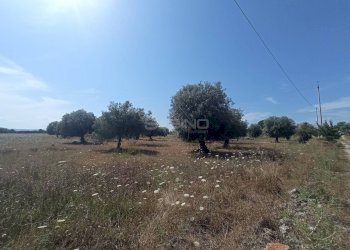 Foto 1 - Agricultural land STRADA BENALI
SNC, Siracusa - photo 1