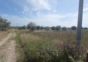 Foto 4 - Agricultural land STRADA BENALI
SNC, Siracusa - photo 4