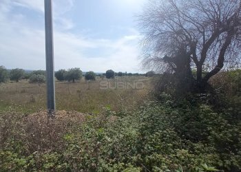 Foto 6 - Agricultural land STRADA BENALI
SNC, Siracusa - photo 6