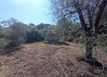 Foto 3 - Agricultural land VIA SAN GIOVANNI BOSCO, Siracusa - photo 3