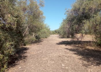 Foto 1 - Agricultural land VIA SAN GIOVANNI BOSCO, Siracusa - photo 1