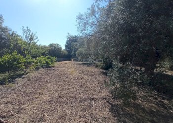 Foto 8 - Agricultural land VIA SAN GIOVANNI BOSCO, Siracusa - photo 8