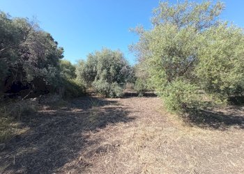 Foto 9 - Agricultural land VIA SAN GIOVANNI BOSCO, Siracusa - photo 9