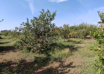 Foto 1 - Agricultural land strada finaidi, Floridia - photo 1