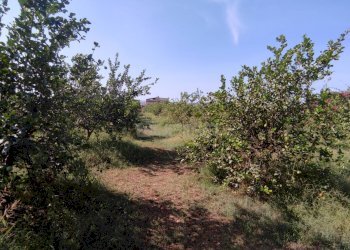 Foto 2 - Agricultural land strada finaidi, Floridia - photo 2