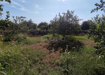 Foto 4 - Agricultural land strada finaidi, Floridia - photo 4