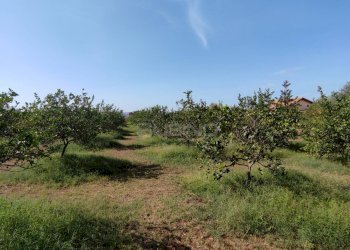 Foto 6 - Agricultural land strada finaidi, Floridia - photo 6