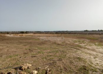 Foto 5 - Agricultural land CONTRADA FONATANA MORTELLA
SNC, Siracusa - photo 5