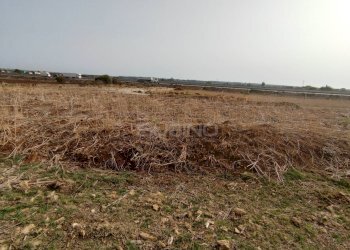 Foto 9 - Agricultural land CONTRADA FONATANA MORTELLA
SNC, Siracusa - photo 9