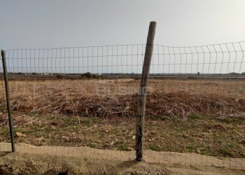 Foto 12 - Agricultural land CONTRADA FONATANA MORTELLA
SNC, Siracusa - photo 12