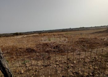 Foto 14 - Agricultural land CONTRADA FONATANA MORTELLA
SNC, Siracusa - photo 14
