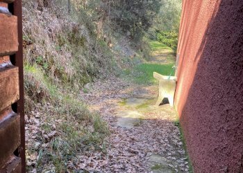 Foto 13 - Villa via delle selvette
 
111, Camaiore - foto 13