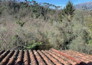 Foto 19 - Villa via delle selvette
 
111, Camaiore - foto 19