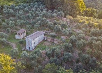 Foto 2 - Rustico via dei venti
 
33, Massarosa - foto 2