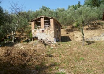 Foto 7 - Rustico via dei venti
 
33, Massarosa - foto 7