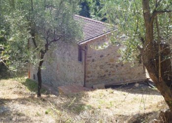 Foto 5 - Rustico via dei venti
 
33, Massarosa - foto 5