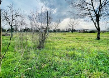 Foto 3 - Rustico Via Campo del Medico, Roccasecca - foto 3