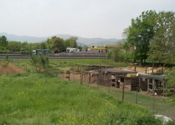 Foto 9 - Rustic VIA SAUDONI
 
SNC, Castrocielo - photo 9