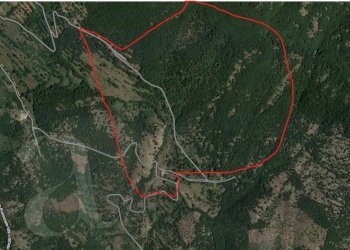 Foto 1 - Terreno agricolo Via Forma, Colle San Magno - foto 1