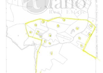 Foto 2 - Terreno agricolo Via Forma, Colle San Magno - foto 2