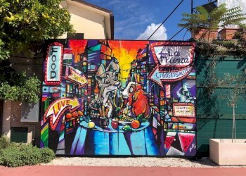 Foto 4 - Attività Commerciale Via Casilina, Roccasecca - foto 4