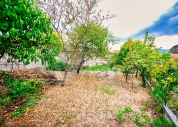 Foto 9 - Rustico Via Roma
 
26, Sasso di Castalda - foto 9