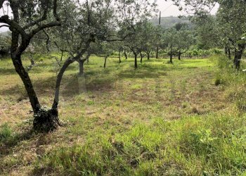 Foto 3 - Rustico Via vallemammoli, Santopadre - foto 3