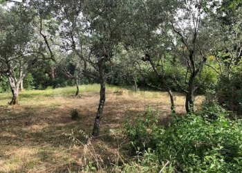 Foto 7 - Rustico Via vallemammoli, Santopadre - foto 7