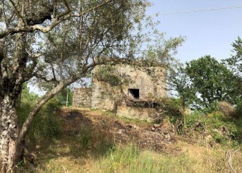 Foto 8 - Rustico Via vallemammoli, Santopadre - foto 8