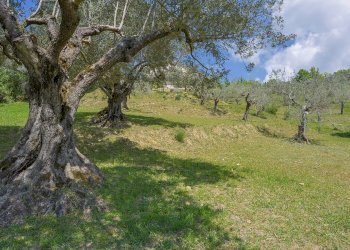 Foto 53 - Villa Via Cocorbito, Sora - foto 53