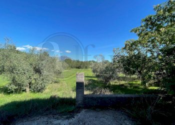 Foto 37 - Casa indipendente Via Collefosso I
 
28/1, Colfelice - foto 37