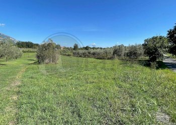 Foto 38 - Casa indipendente Via Collefosso I
 
28/1, Colfelice - foto 38