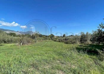 Foto 39 - Casa indipendente Via Collefosso I
 
28/1, Colfelice - foto 39