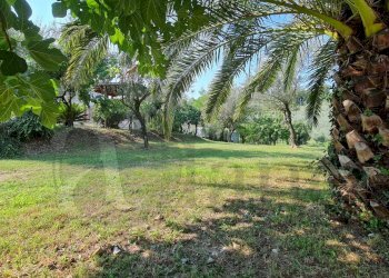 Foto 18 - Independent house Via Panaccio
 
snc, Arpino - photo 18