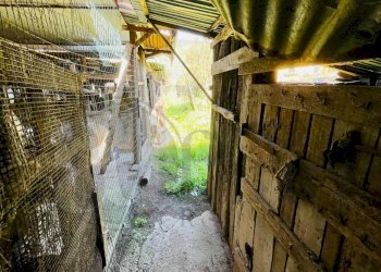 Foto 20 - Casa semi indipendente Via Casilina Sud
 
111, Castrocielo - foto 20